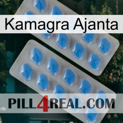 Kamagra Ajanta 23